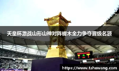 天皇杯激战山形山神对阵樨木全力争夺晋级名额